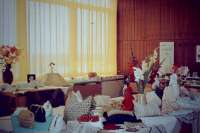 Diaserie_des_Dorfes_Rosenthal_aussortierte_-_046