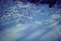 Diaserie_des_Dorfes_Rosenthal_aussortierte_-_072