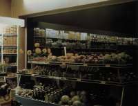 Bilder_von_Laden-Heuer_lose_-_046
